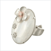 Dame Blanche