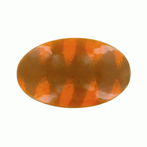 Заколка из змеиной кожи Manasa orange hairclip 